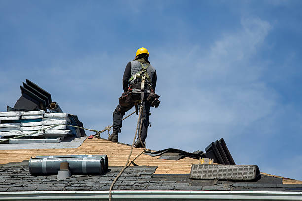 Professional Roofing technician working in Greenbush, WI